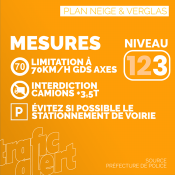 Plan neige et verglas niveau 3 Île-de-France activé