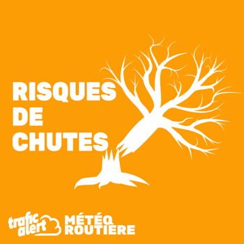 Risque de chutes d’arbres ou d’objets