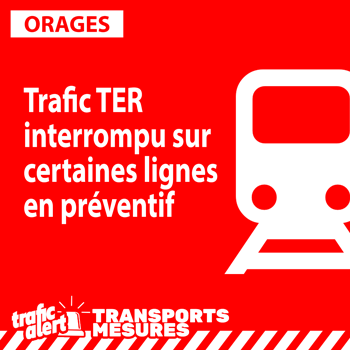 Trafic TER interrompu en préventif
